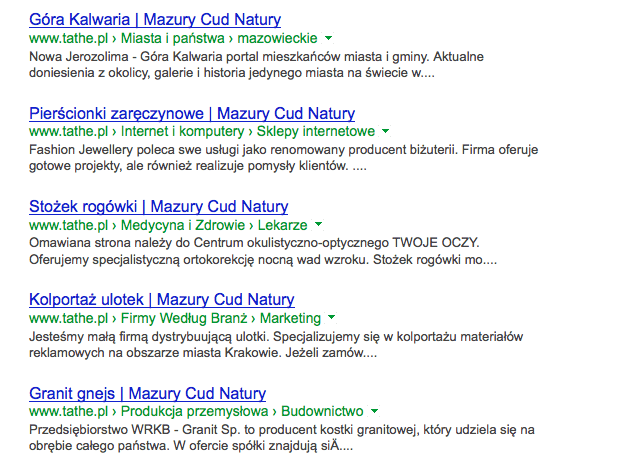 Menu nawigacyjne w SEOKatalog w Google