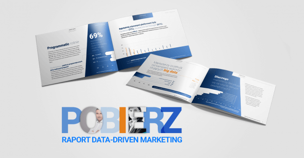 Raport Data-driven marketing