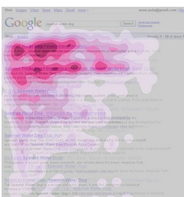 Eye tracking Google 2009